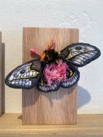 Load image into Gallery viewer, Artwork by Stephanie Kelly Clark
