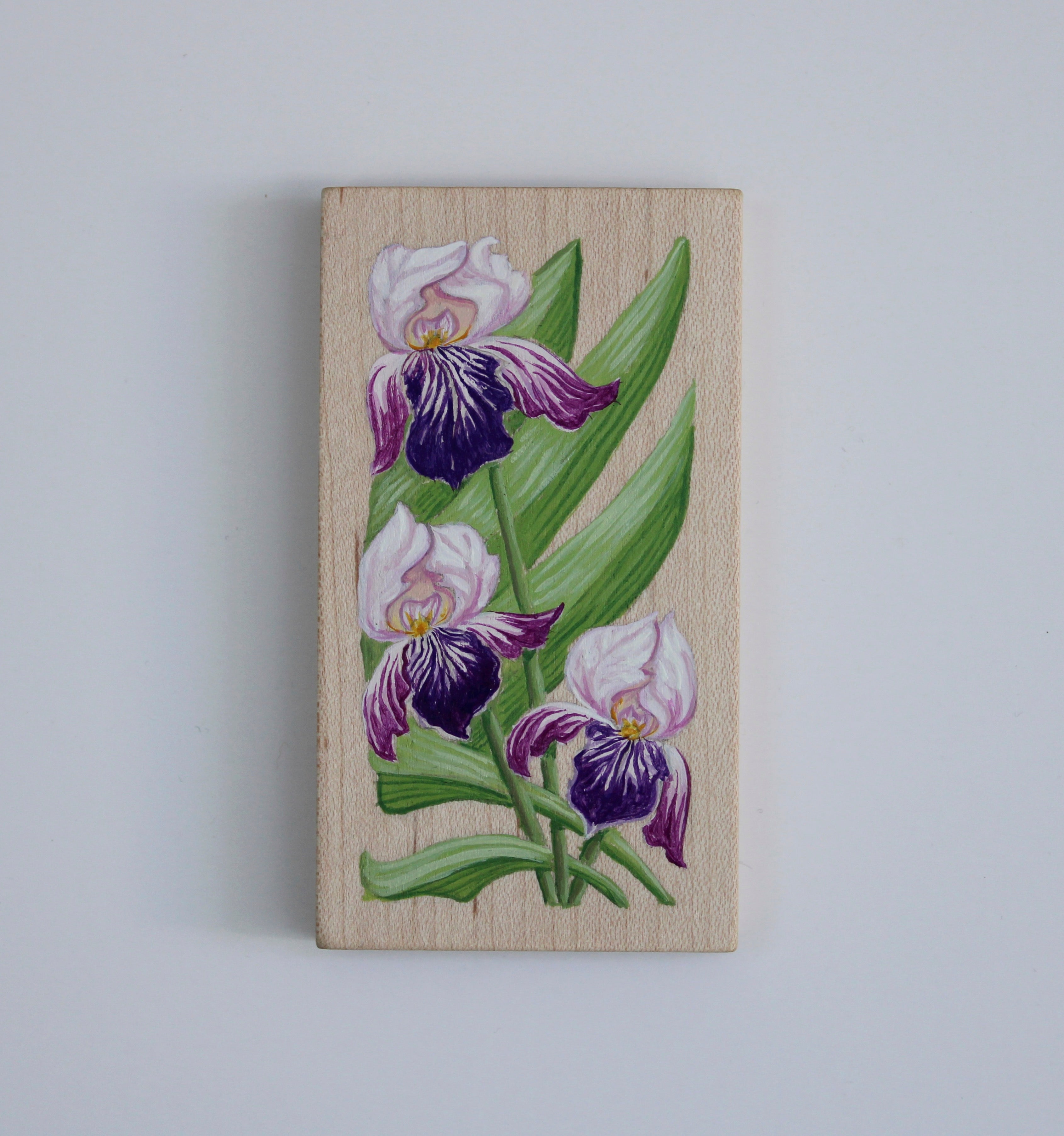 Artwork by Siwa Allred