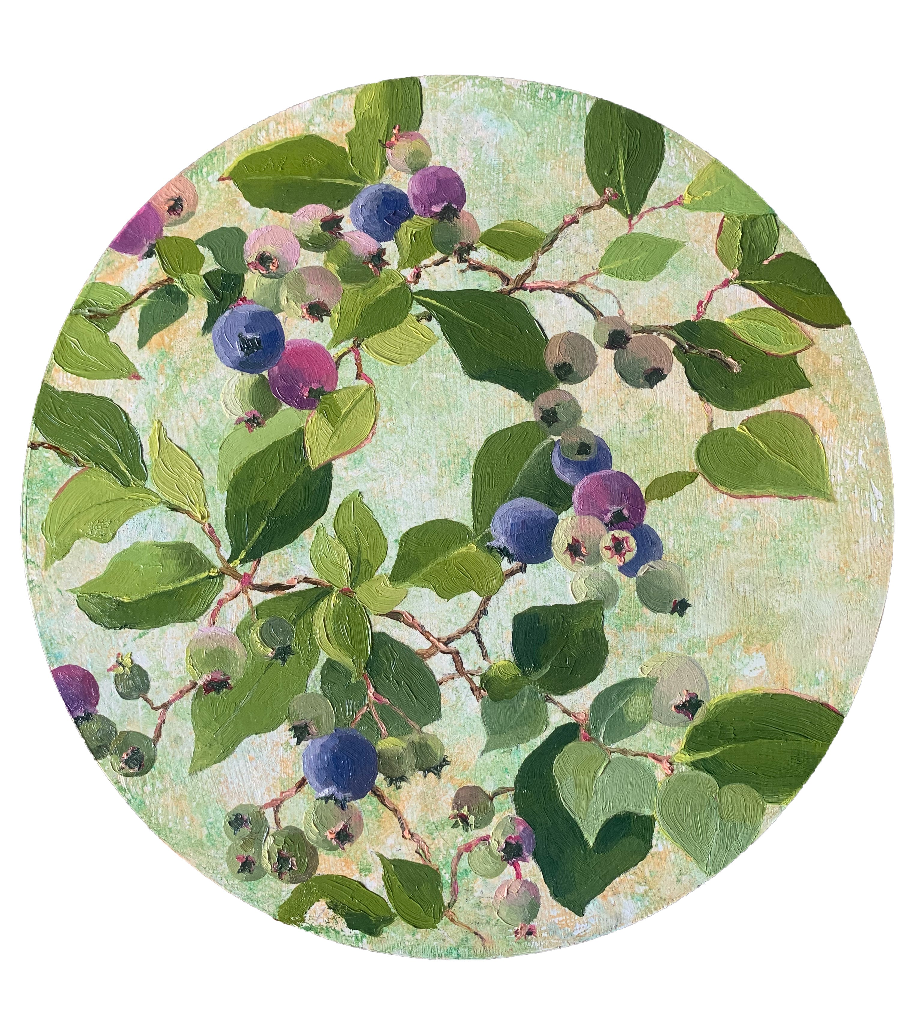 Blueberries by Jeanette Millward