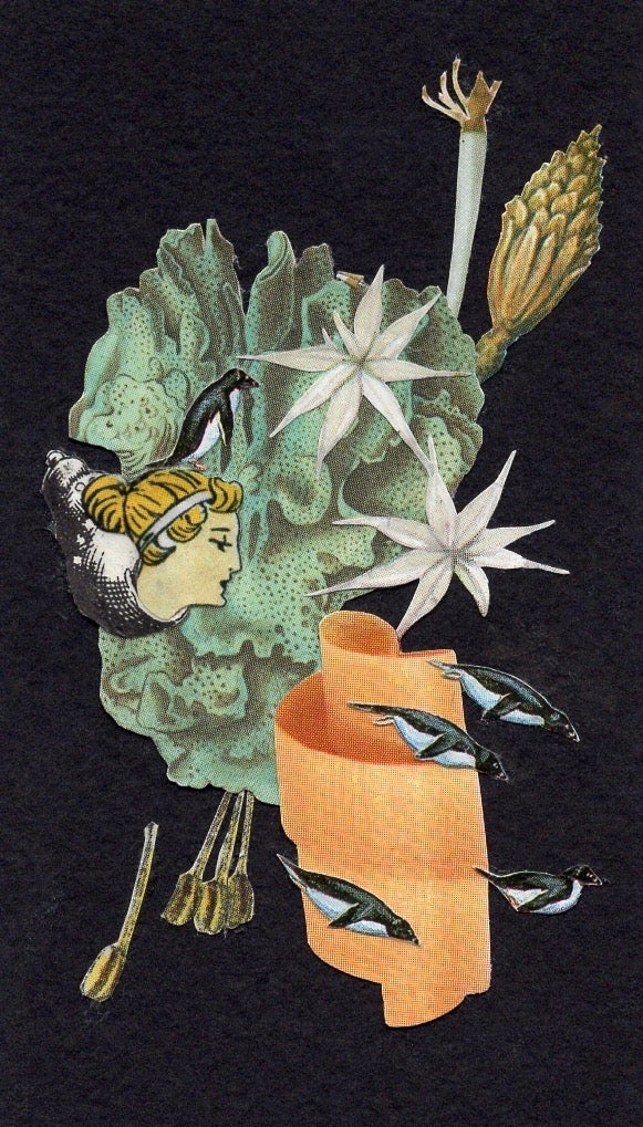 Artwork by Sarah Stoddard