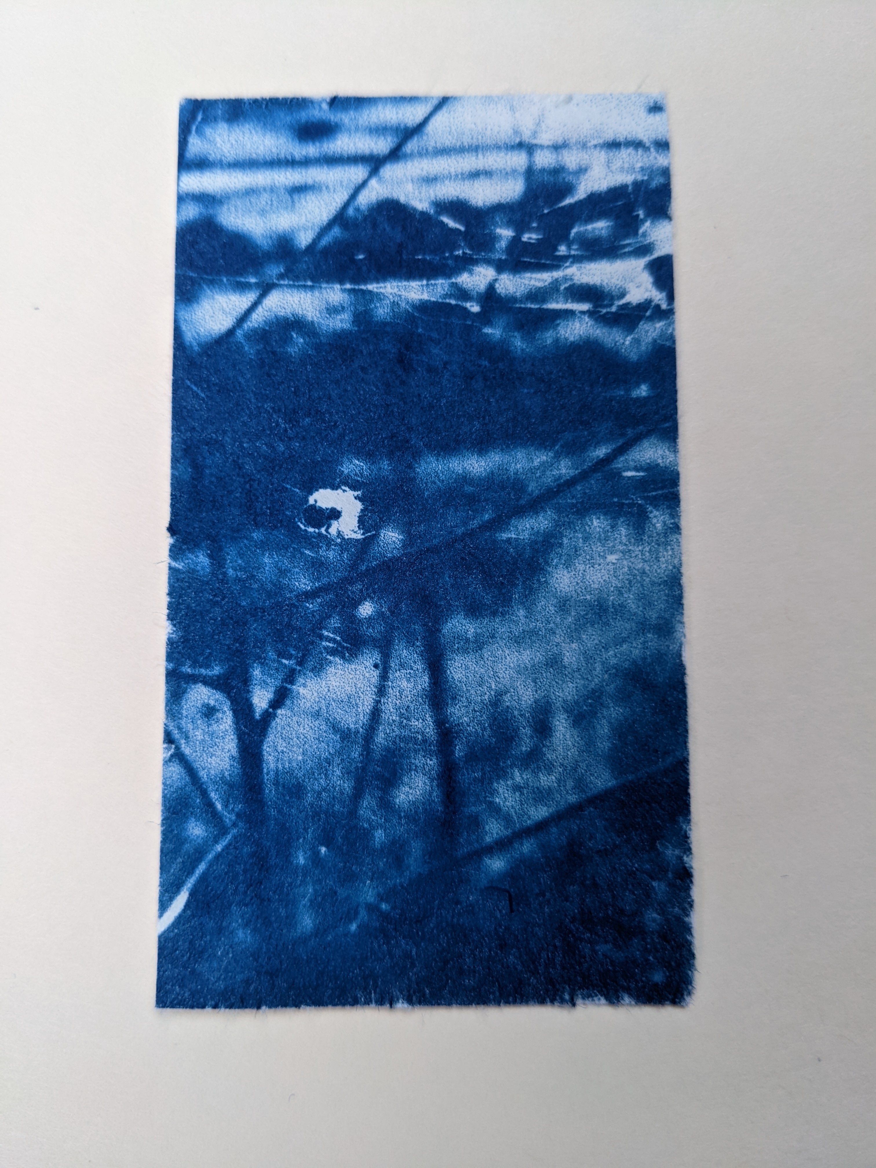 Artwork by Jilleun Jasperson