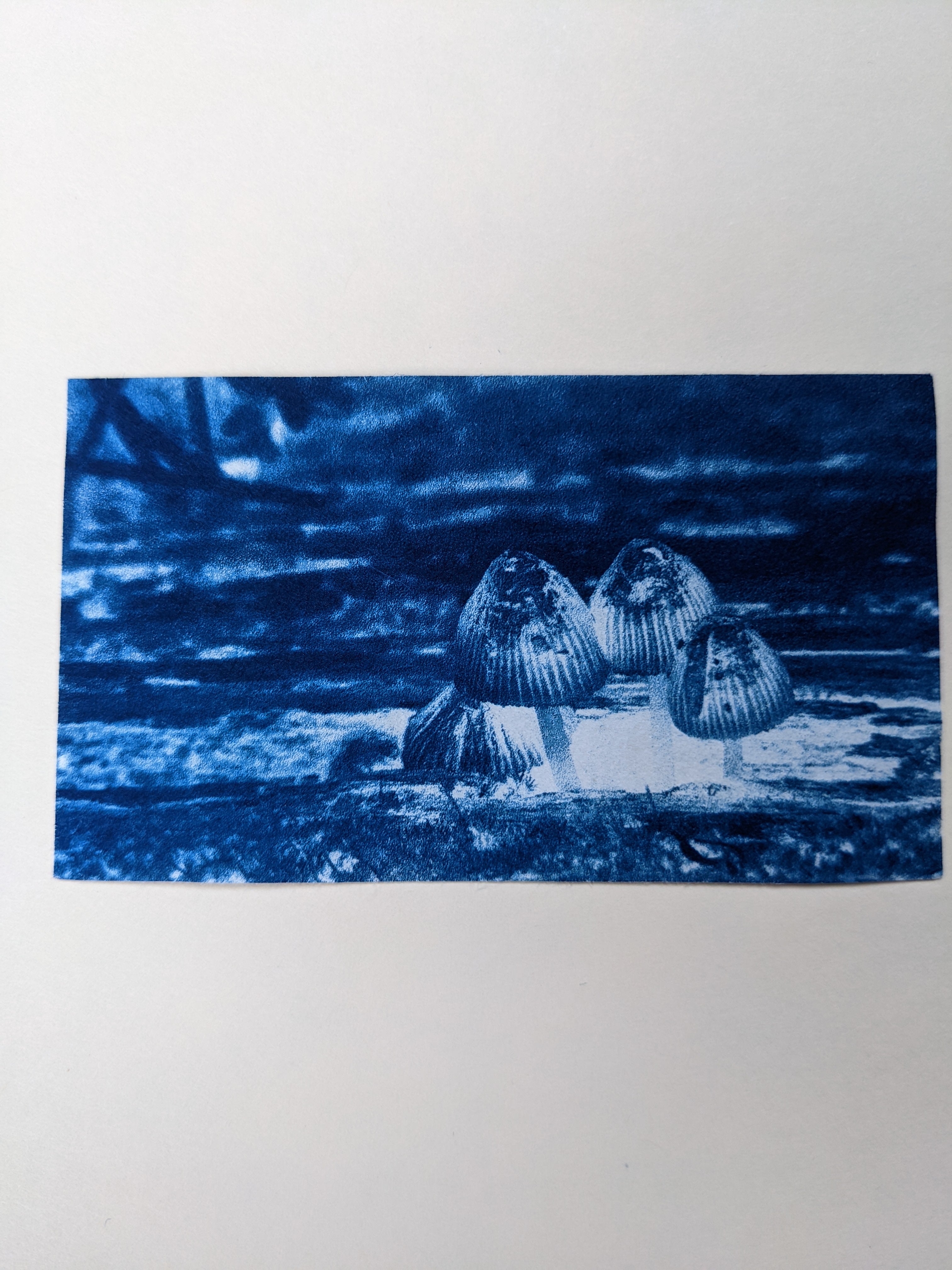 Artwork by Jilleun Jasperson