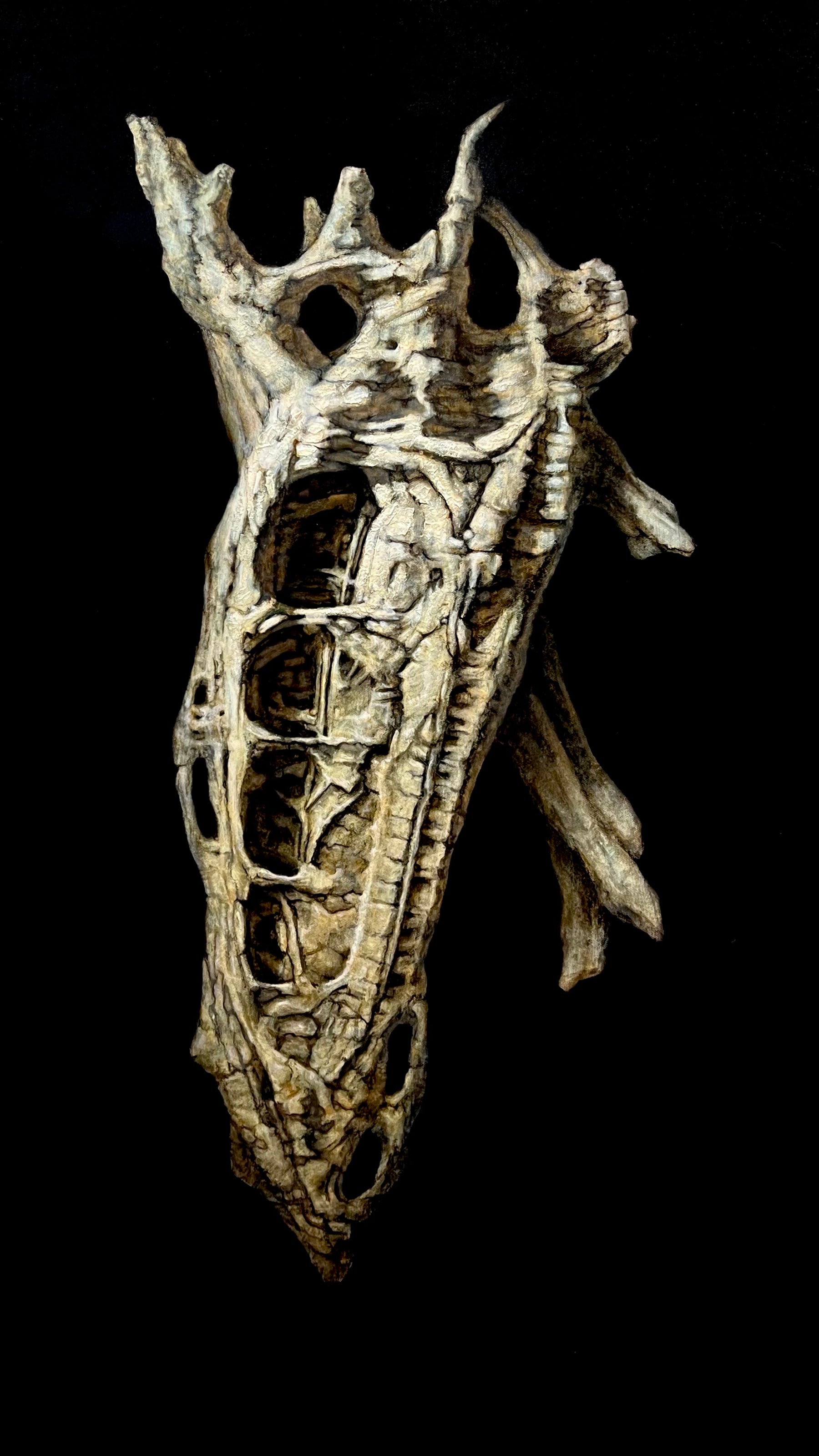 Specimen 14.B, Dromicard by Tyler Vance