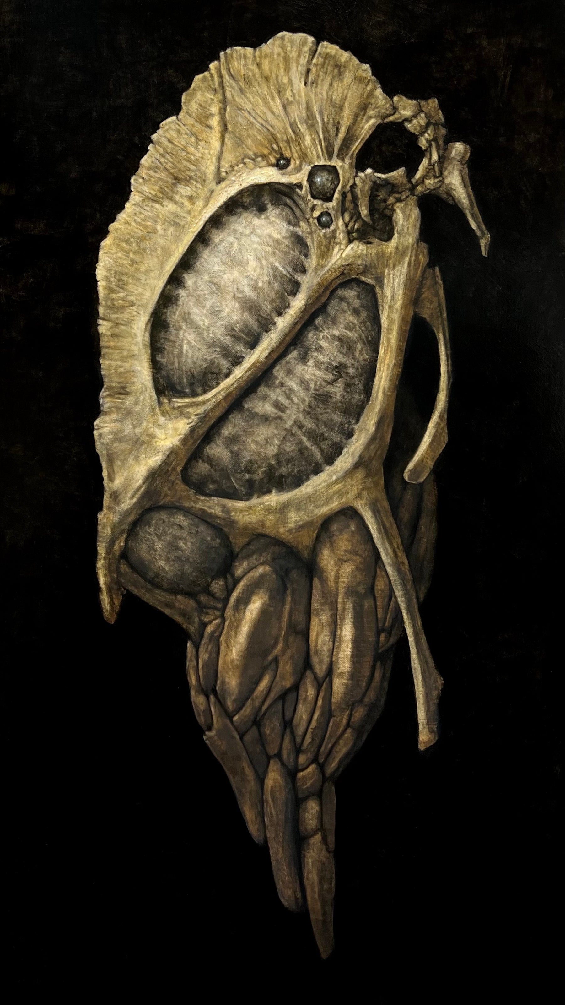 Specimen 16.F, Gallisec by Tyler Vance