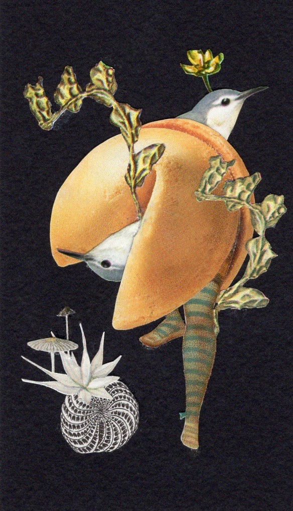 Artwork by Sarah Stoddard