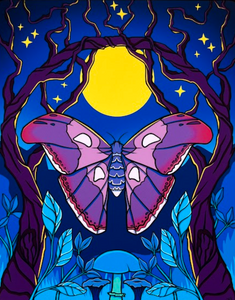 Atlas Moth by Rachel Feirman