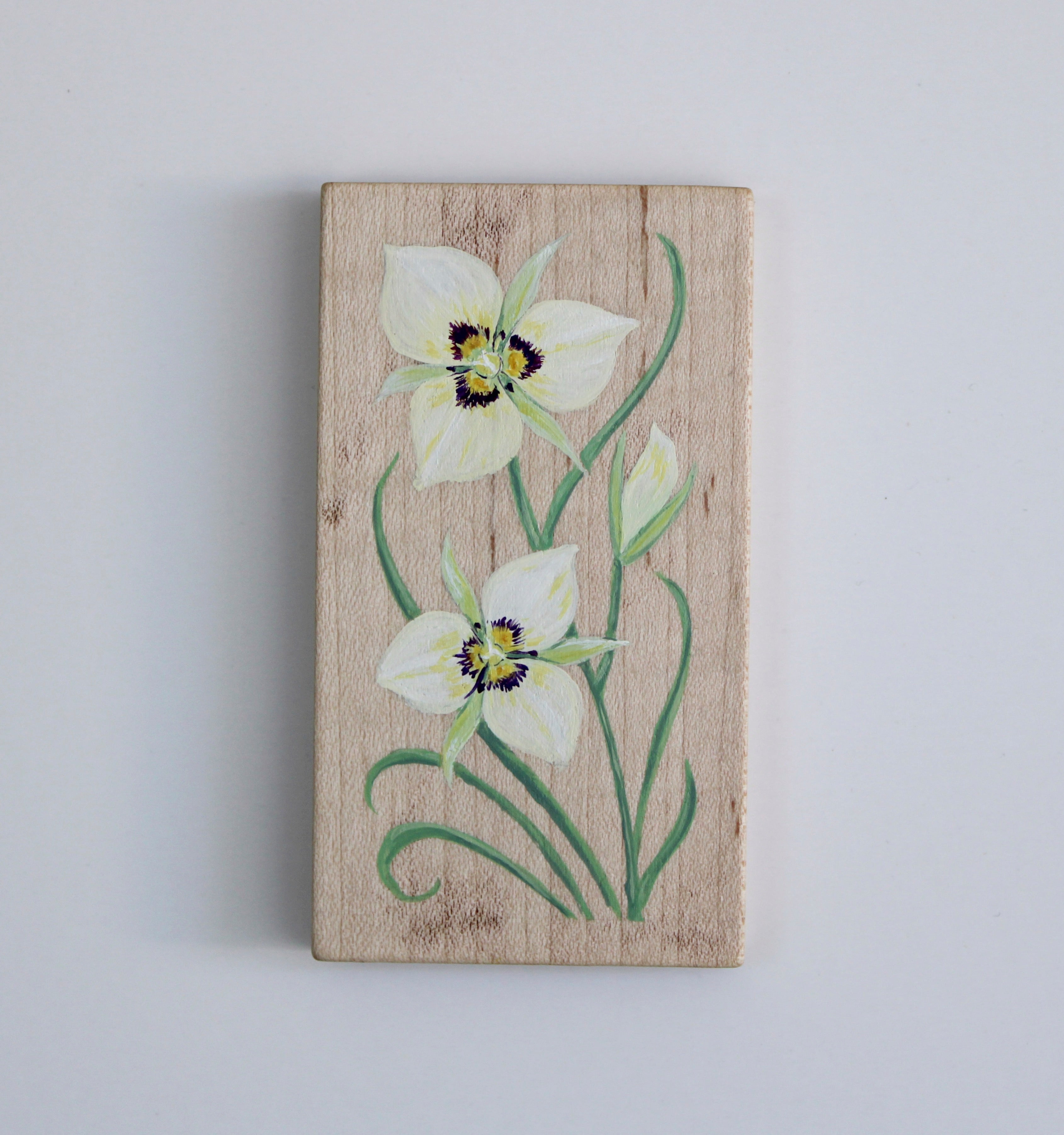 Artwork by Siwa Allred