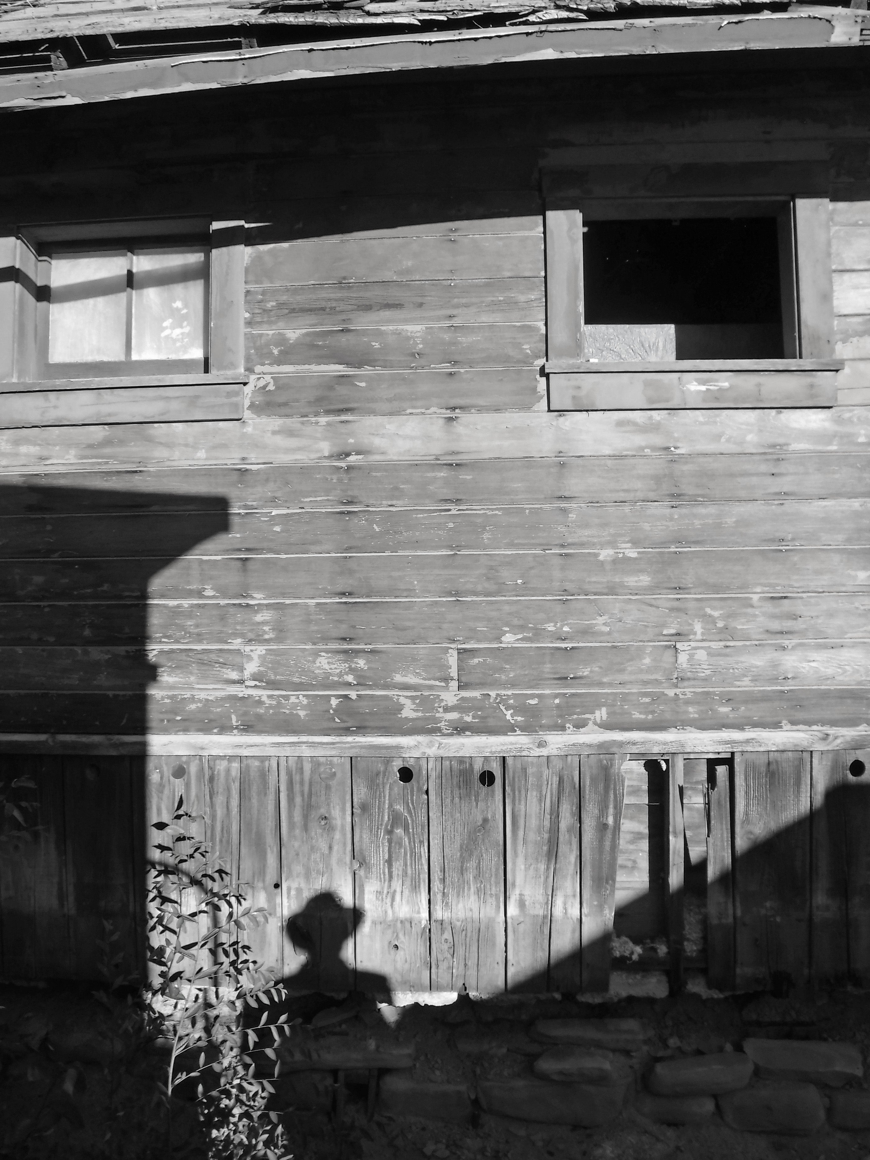 Artwork by Carrie J Cason Wilson