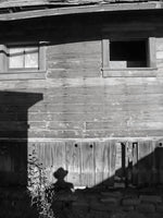 Load image into Gallery viewer, Artwork by Carrie J Cason Wilson
