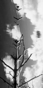 Load image into Gallery viewer, Artwork by Carrie J Cason Wilson
