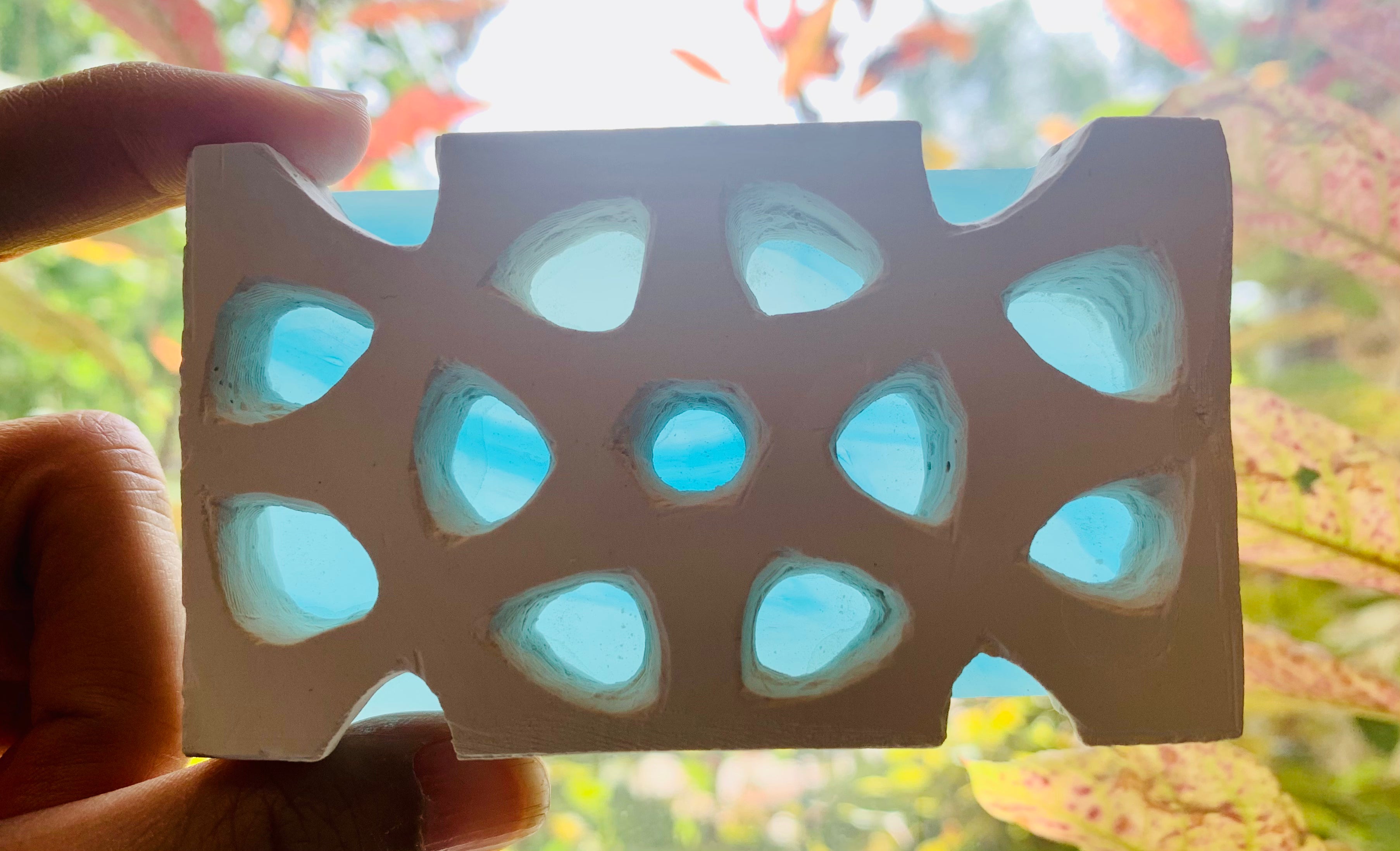 Artwork by Shabnam Siddiqui