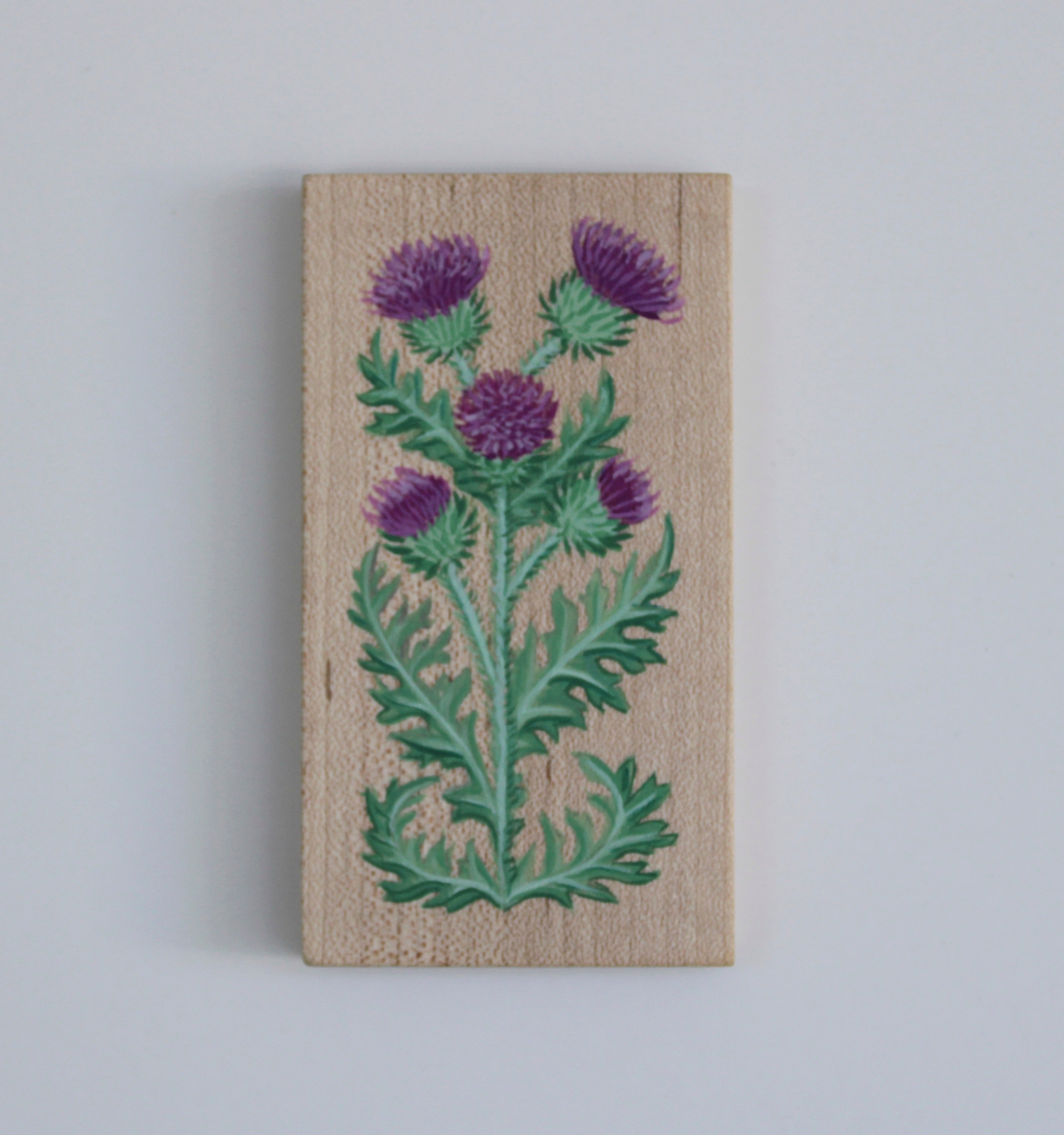 Artwork by Siwa Allred