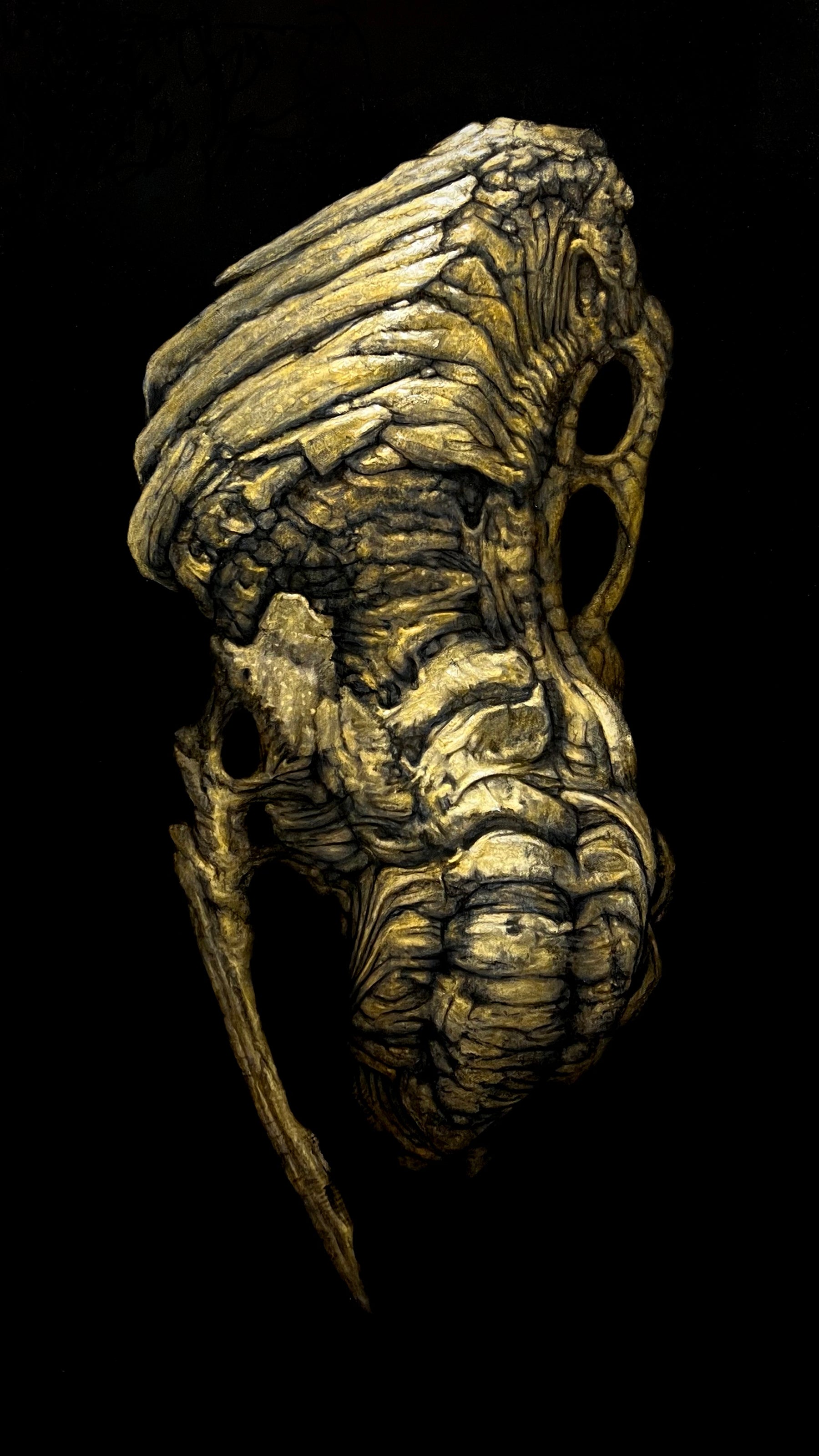 Specimen 14.A, Tretorquin by Tyler Vance