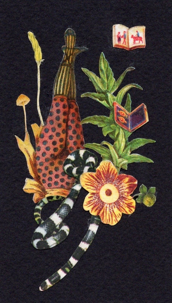 Artwork by Sarah Stoddard