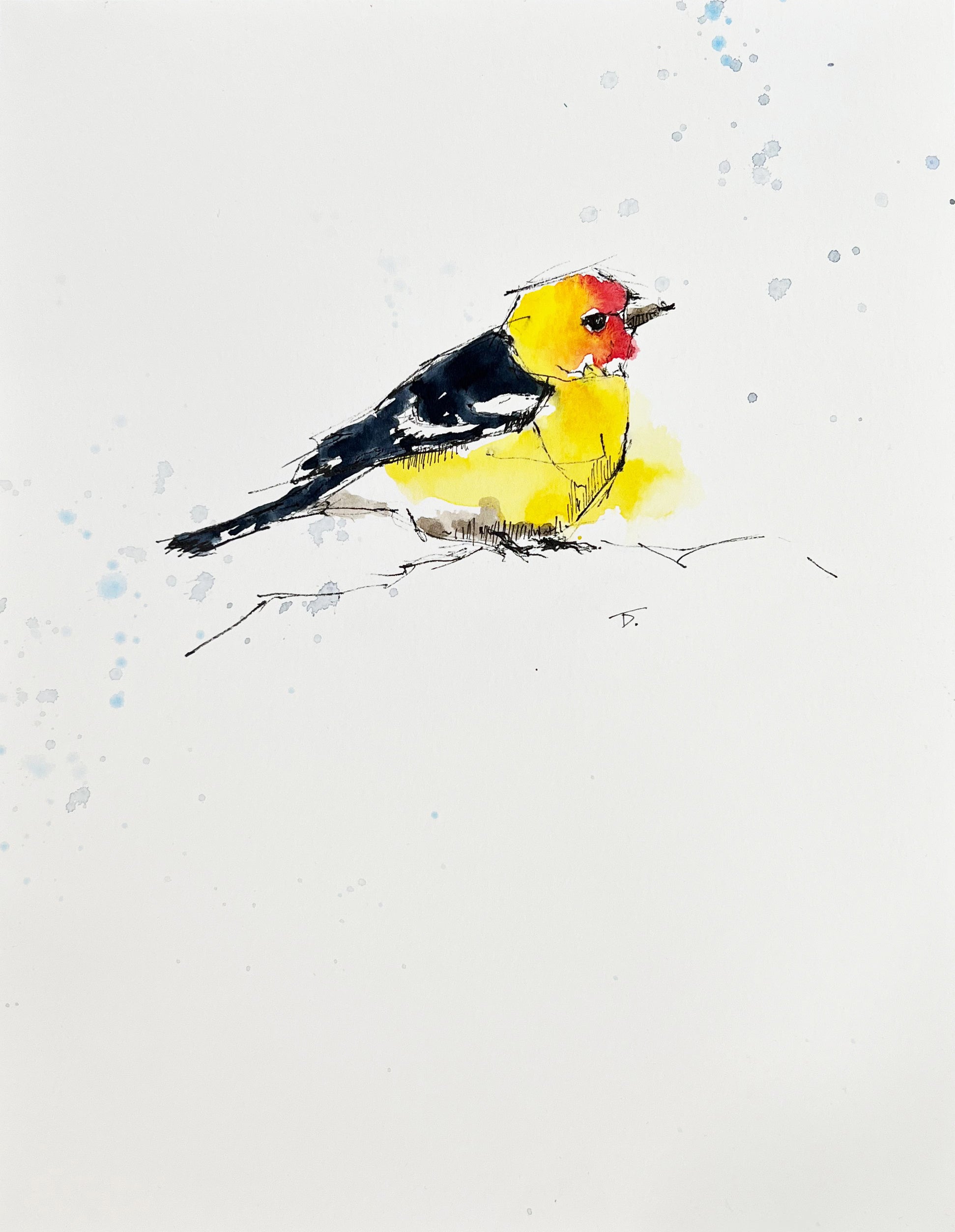 Western Tanager by Thomas Dunford