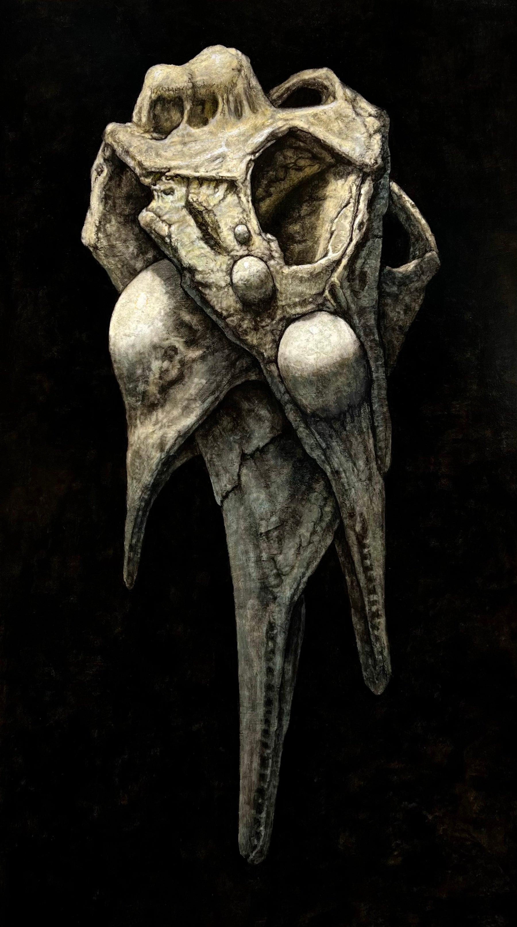 Specimen 16.C, Cetovub by Tyler Vance