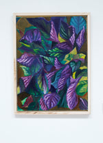 Load image into Gallery viewer, Perilla by Amanda Yim
