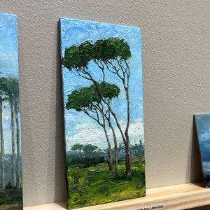 Pinus Pinea-Italian Stone Pine trees by Julie Ann Lake-Díaz