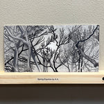 Load image into Gallery viewer, Spring Equinox by K A
