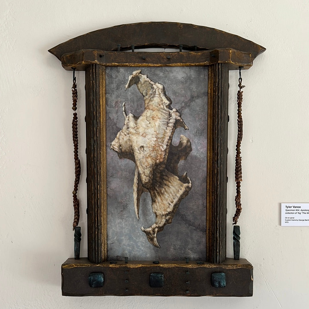 Specimen 904, Aprotorquin by Tyler Vance