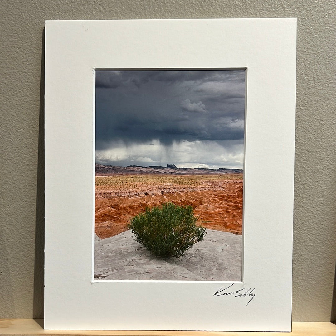 Goblin Valley Bush by Kevin Schley