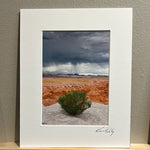 Load image into Gallery viewer, Goblin Valley Bush by Kevin Schley
