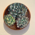 Load image into Gallery viewer, Trio by Kwani Povi Winder
